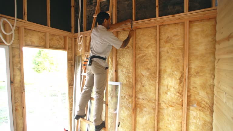 Best Eco-Friendly or Green Insulation Solutions  in Paola, KS